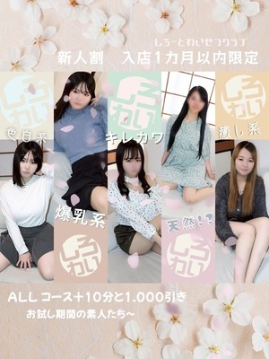 しろわい新人割